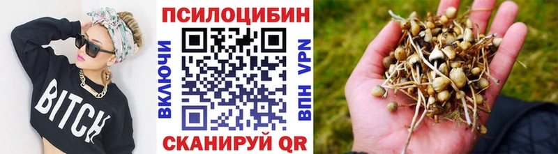 Галлюциногенные грибы мицелий  купить наркоту  Зеленогорск 