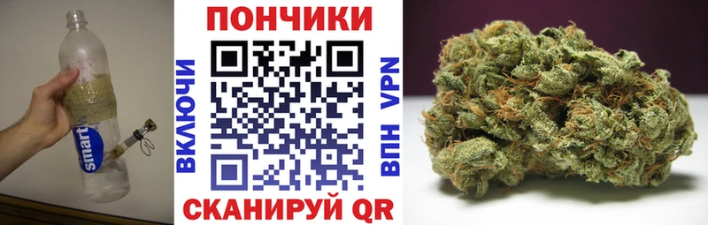 купить наркоту  Зеленогорск  Бошки марихуана сатива 
